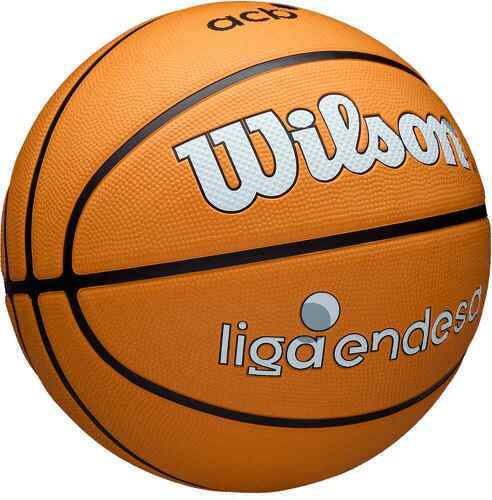 WILSON-ACB OUTDOOR BSKT 7-2