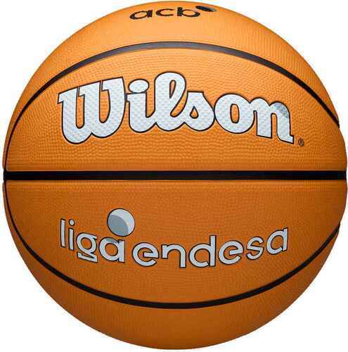 WILSON-ACB OUTDOOR BSKT 7-0