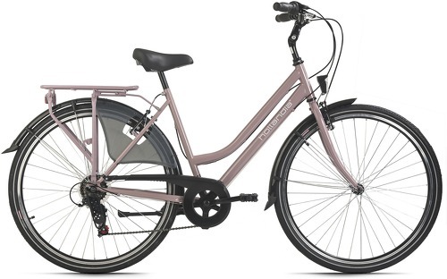 Hollandia-Hollandrad Damen 28" City Next RH 50 cm 6 Gänge Hollandia-1