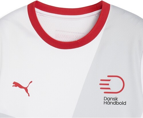 PUMA-Maillot De Handball Away Danemark-2