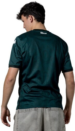 KAPPA-Maillot Kombat Away AS Monaco Vert Homme-1