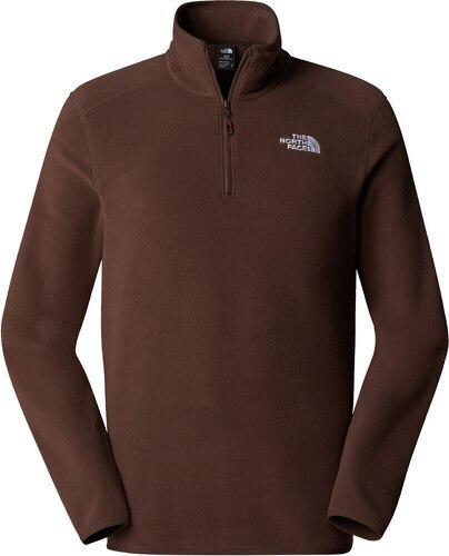 THE NORTH FACE-M 100 GLACIER 1/4 ZIP-0