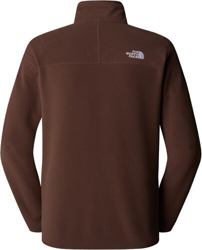 THE NORTH FACE-M 100 GLACIER 1/4 ZIP-1