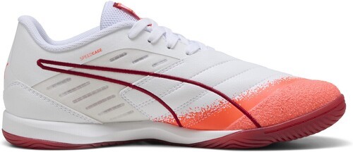 PUMA-Chaussures de futsal IBERO IV-2