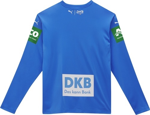 PUMA-DHB Trikot Goalkeepper 2025 blau-1