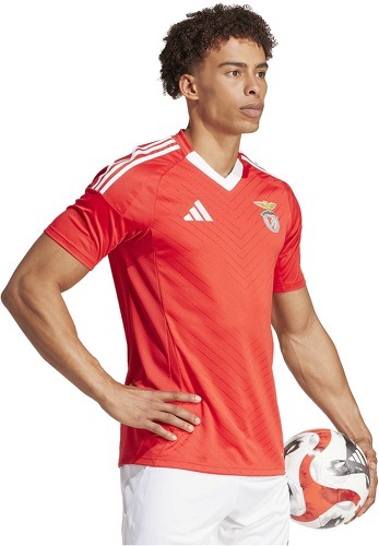 adidas-Maglia Home Benfica Lisbona 2024/25-3