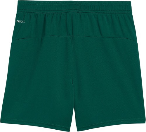 PUMA-Portugal short-1