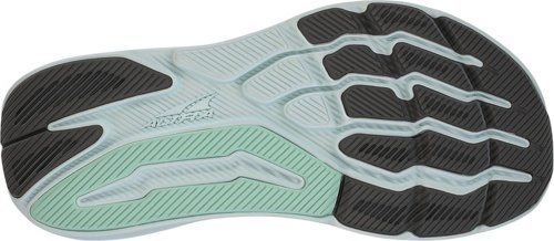 ALTRA-W EXPERIENCE FORM-1