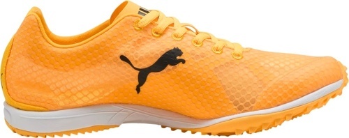 PUMA-evoSPEED Haraka 8 Spikeless-2