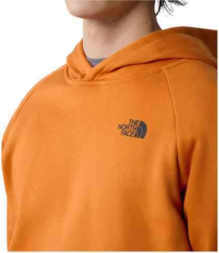 THE NORTH FACE-M RAGLAN REDBOX HOODIE-4