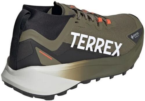 adidas-Terrex Agravic GTX-1