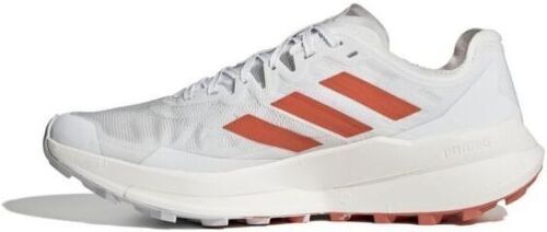 adidas-Terrex Agravic Speed-1